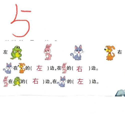 左右怎么区分