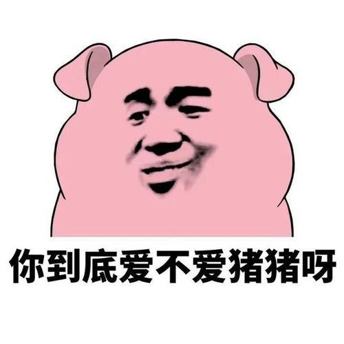 别人说你是猪怎么怼回去