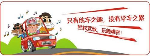 驾校情缘相似的书