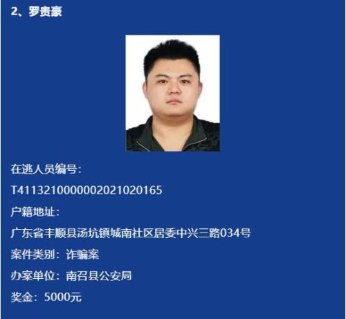 网上通缉和网上追逃哪个严重