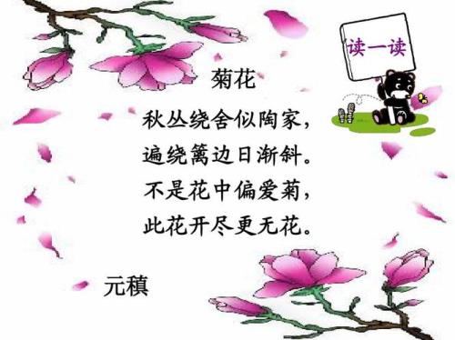 菊花古诗朗诵