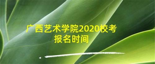 广西艺术学院校考怎么报名
