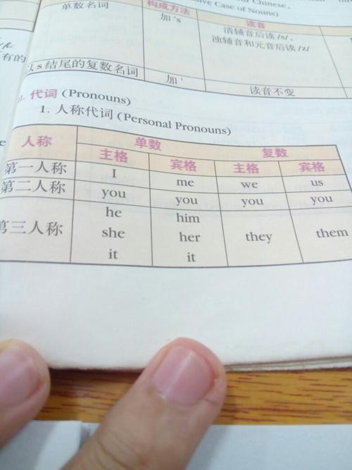 you复数主格造句