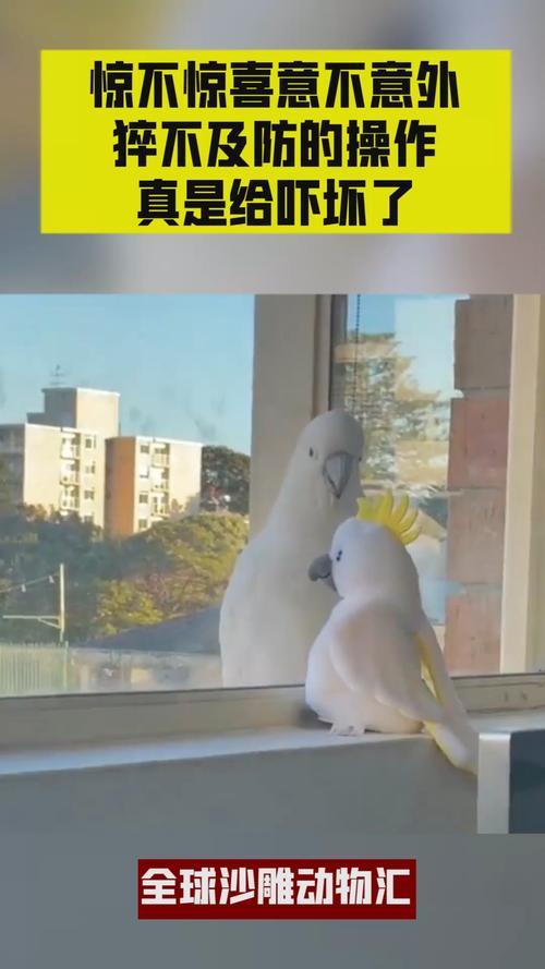 让我猝不及防什么意思