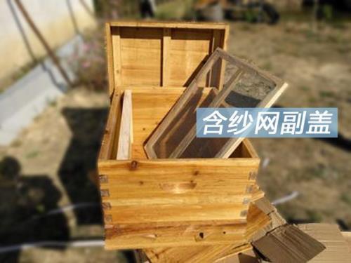 蜂箱开几个出口好