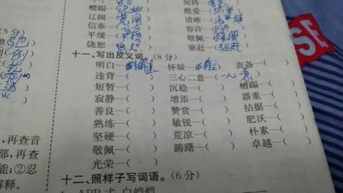 暴躁反义词二年级