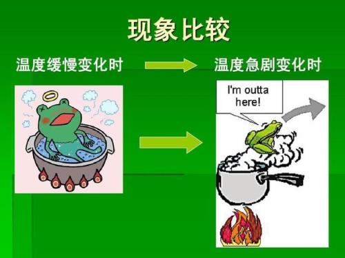 青蛙效应是什么