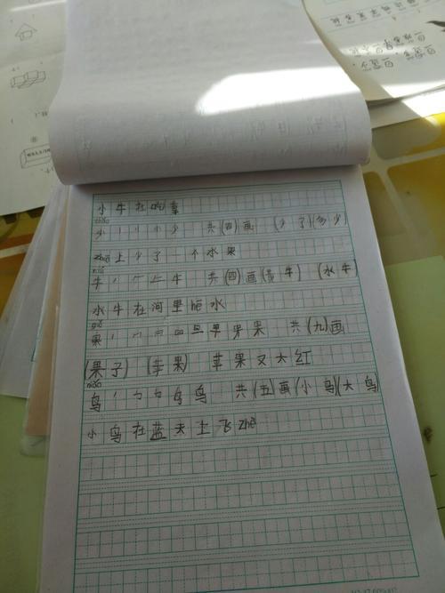 用立组词造句