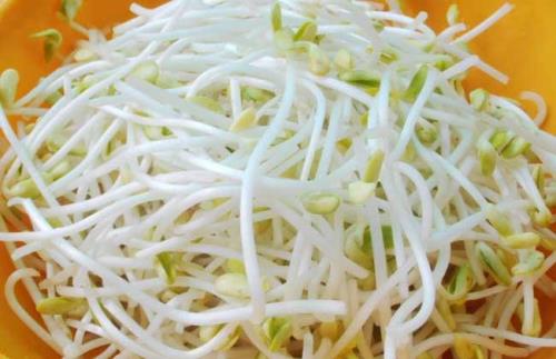 生黄豆芽的绝招
