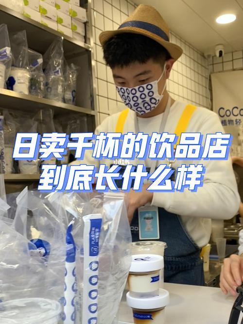 口口椰冬天有什么