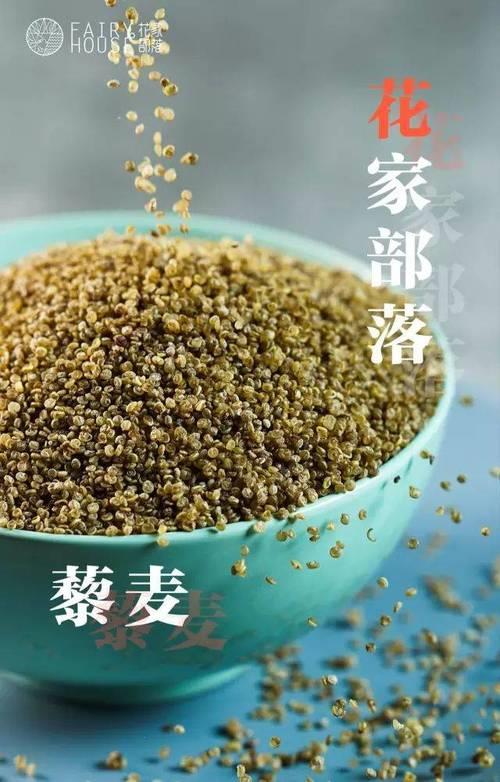 藜麦蜘蛛是什么