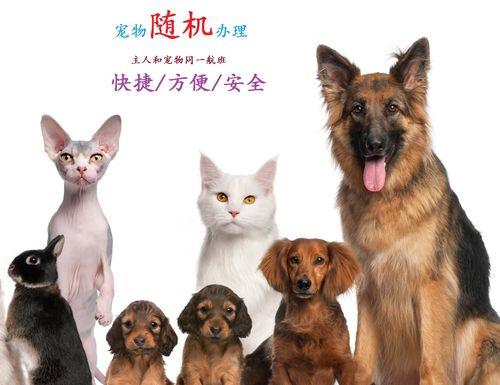 宠物可以邮寄吗