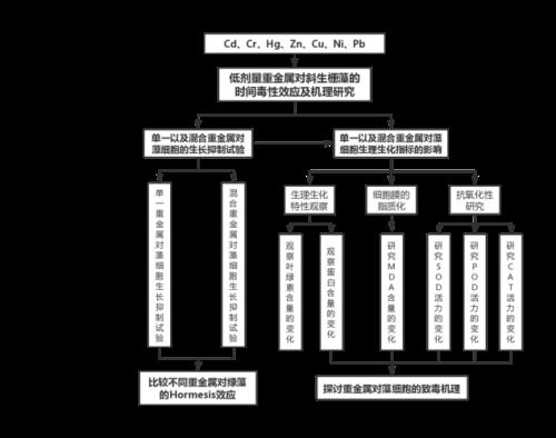 七重效应内容