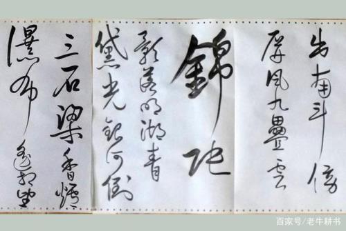 我本楚狂人的全诗