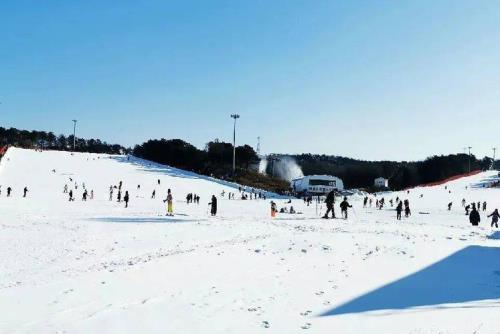 沈阳滑雪场排名