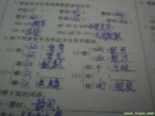 诸和绪的组词