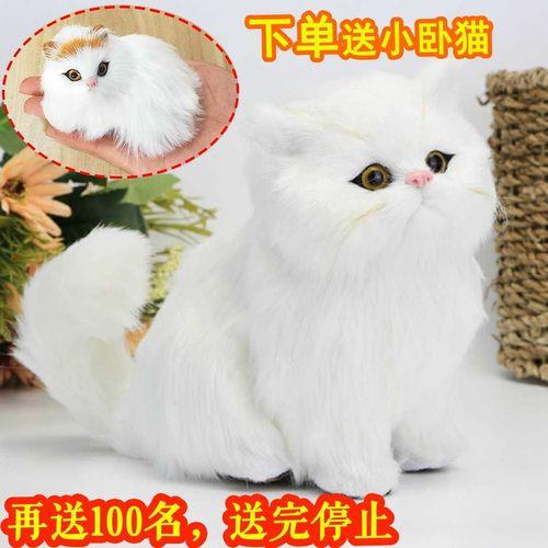 娜比雅的猫叫什么