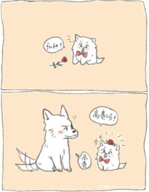 雄贤为什么杀迦梨