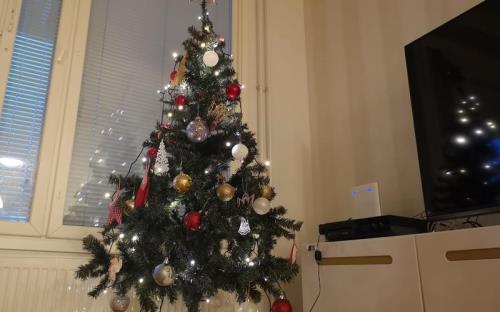 圣诞树是发给谁的