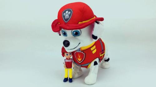 汪汪队立大功毛毛变小是哪集