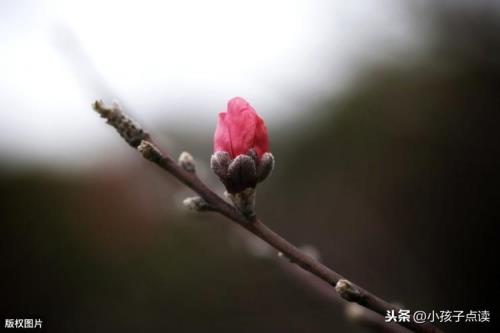 登快阁景物特点