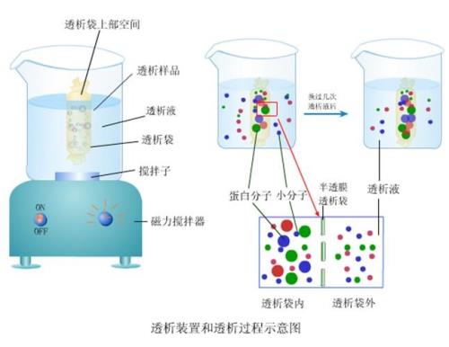 渗析原理
