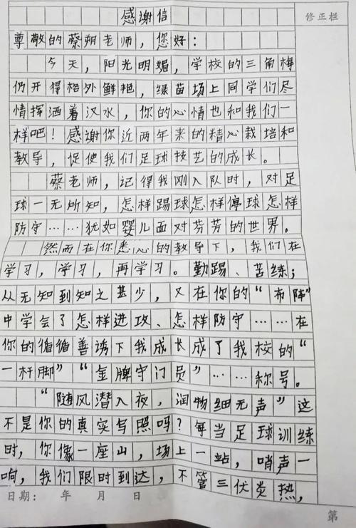 用有板有眼造句六年级