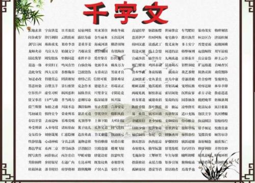 千字文一共有多少个字