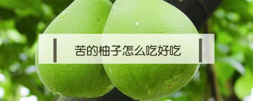 柚子苦怎么回事能吃吗