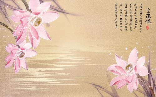 爱莲说的表面含义和深层含义