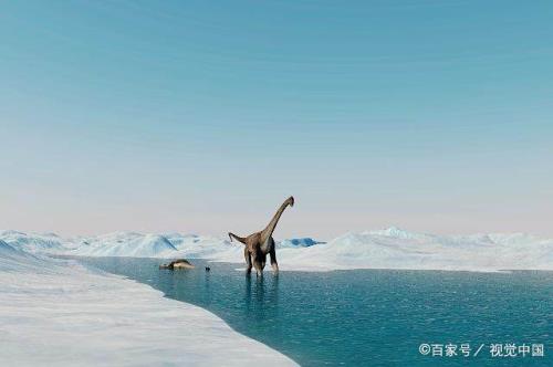 恐鱼和海嗣的区别