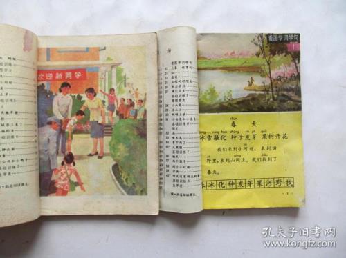 小学语文课文分为哪几种类型