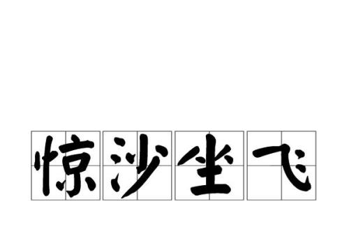 飞字成语