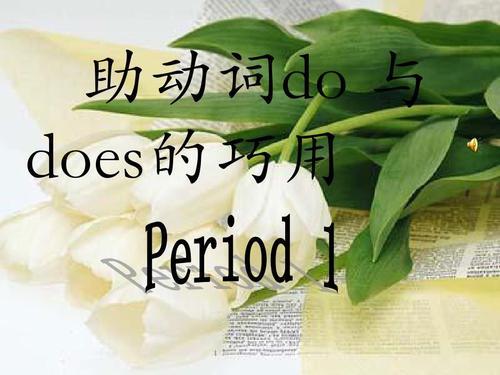 do和does的区别和用法表格