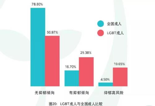 什么是少数性群体