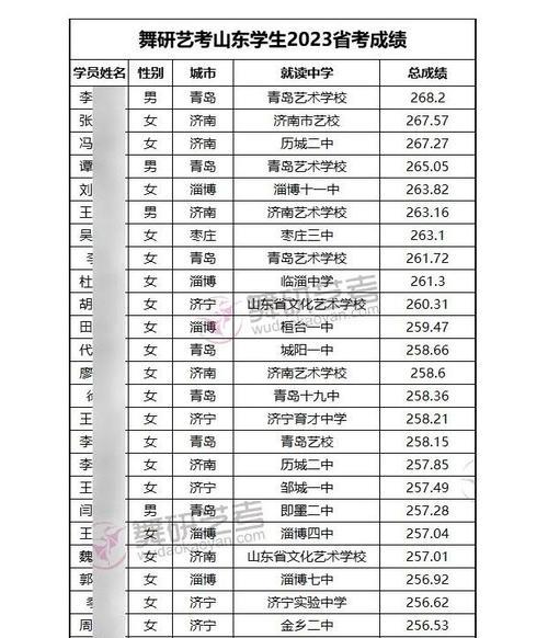 艺考230分成绩怎么样