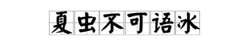 不可与夏虫语冰的意思