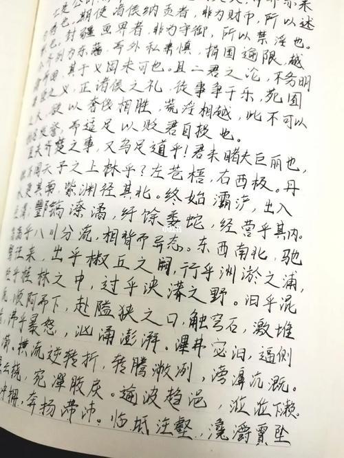 上林赋最生僻字总结