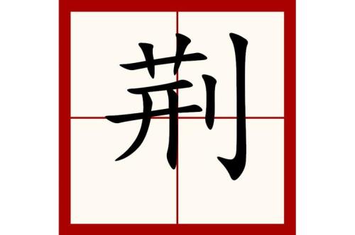 荆公拒参古文中荆的意思
