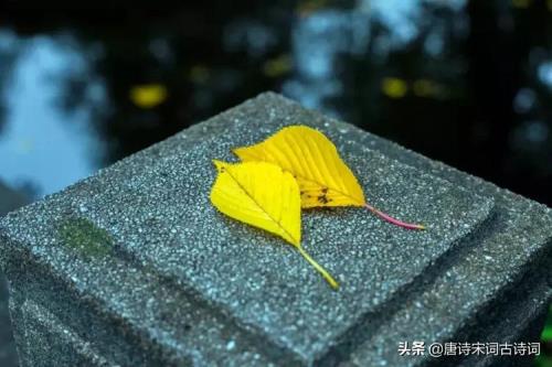 看破人生的十首诗