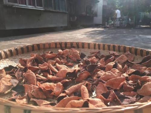 陈皮的制作和储存方法