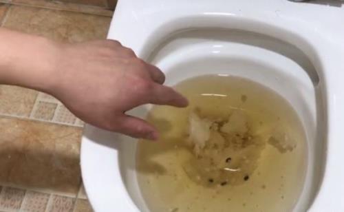 厕所堵住了下水很慢怎么解决