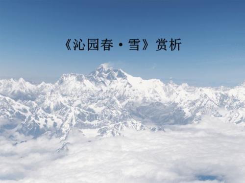 沁园春雪解释