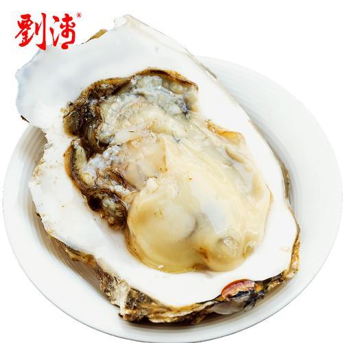 生蚝15规格是多大