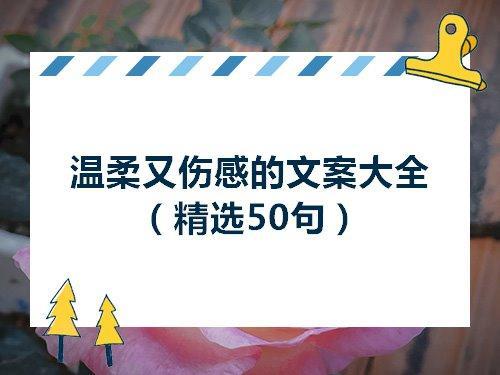 爱情清醒透彻的文案
