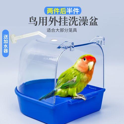 鹦鹉洗澡的盒子需要多大