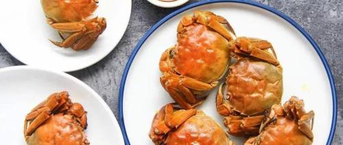自己在家养螃蟹喂什么食物