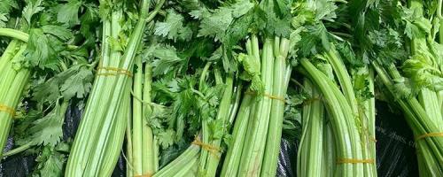 芹菜过水是开水下锅还是冷水下