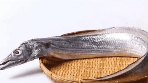 带鱼为什么含钙