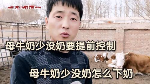 母牛奶少怎么办